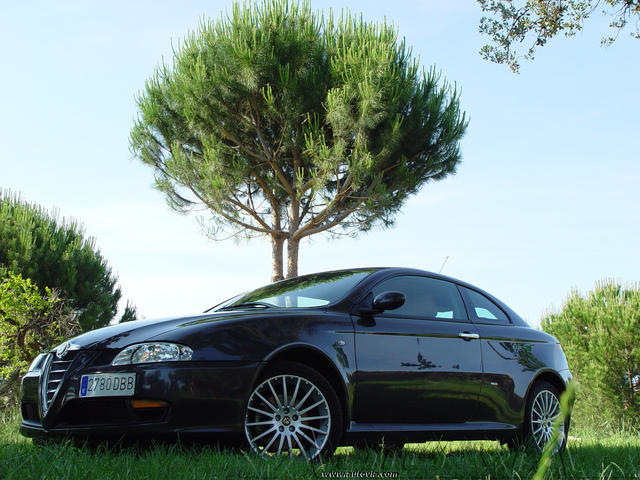 Alfa Romeo GT JTD 55