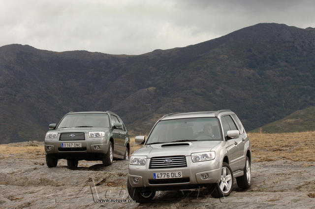 Subaru Forester 48