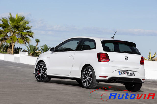 Volkswagen Polo GTI 2014 - 03