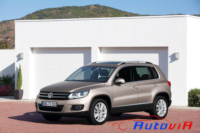 VolksWagen - Tiguan - 17